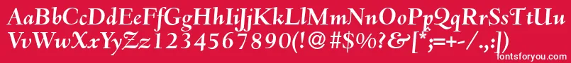 Шрифт D690RomanBolditalic – белые шрифты на красном фоне