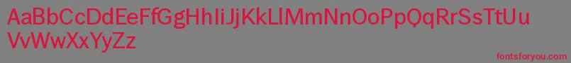 WendelinKrftig Font – Red Fonts on Gray Background