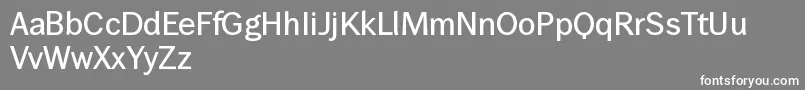 WendelinKrftig Font – White Fonts on Gray Background