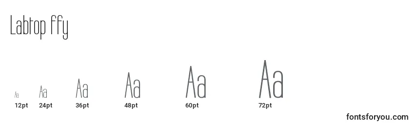 Labtop ffy Font Sizes