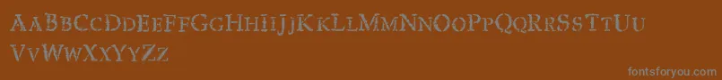 VtksExpert Font – Gray Fonts on Brown Background
