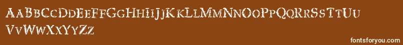 Шрифт VtksExpert – белые шрифты на коричневом фоне