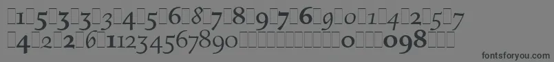 FiguralOsFiguresLetPlain.1.0 Font – Black Fonts on Gray Background