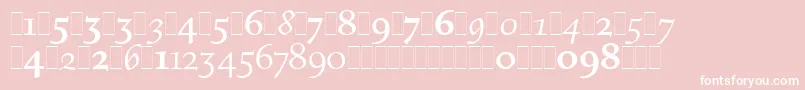 FiguralOsFiguresLetPlain.1.0 Font – White Fonts on Pink Background