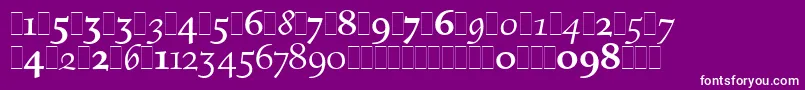 FiguralOsFiguresLetPlain.1.0 Font – White Fonts on Purple Background