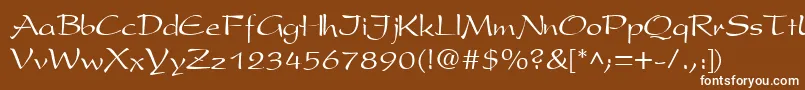 フォントPsR – 茶色の背景に白い文字