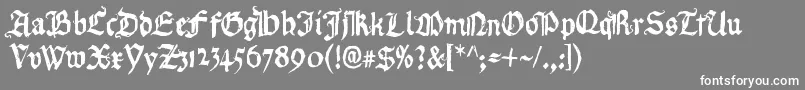 RequiemForA-Schriftart – Weiße Schriften auf grauem Hintergrund