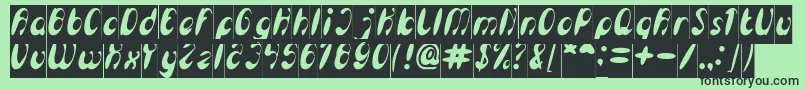EnjoyTheTimeInverse Font – Black Fonts on Green Background