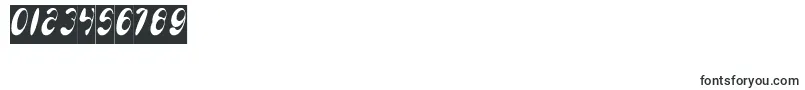 EnjoyTheTimeInverse Font – Fonts for Numbers and Digits