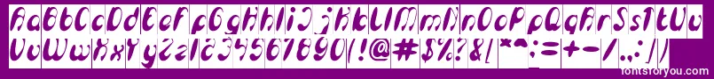 EnjoyTheTimeInverse Font – White Fonts on Purple Background