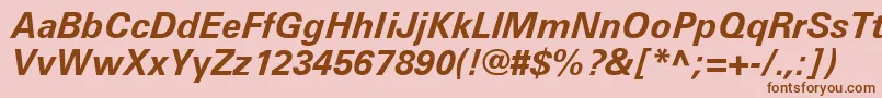 UniversLt66BoldItalic Font – Brown Fonts on Pink Background