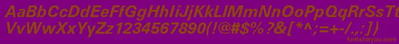 UniversLt66BoldItalic Font – Brown Fonts on Purple Background