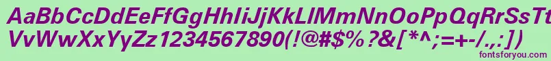 UniversLt66BoldItalic Font – Purple Fonts on Green Background