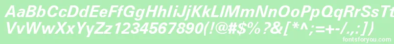 UniversLt66BoldItalic Font – White Fonts on Green Background