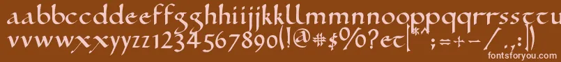 RamseySd Font – Pink Fonts on Brown Background