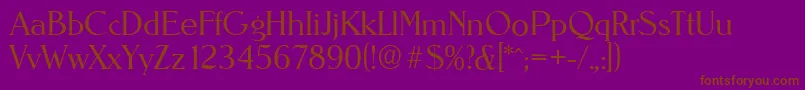 NevadaserialLightRegular Font – Brown Fonts on Purple Background