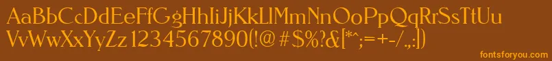 NevadaserialLightRegular Font – Orange Fonts on Brown Background