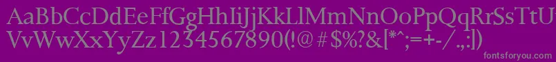 PalermoserialLightRegular Font – Gray Fonts on Purple Background