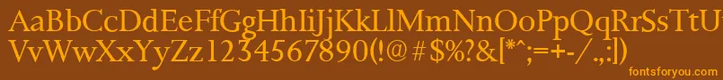 PalermoserialLightRegular Font – Orange Fonts on Brown Background