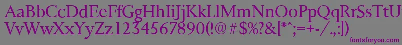 PalermoserialLightRegular-fontti – violetit fontit harmaalla taustalla