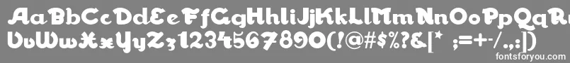 フォントWalrus – 灰色の背景に白い文字