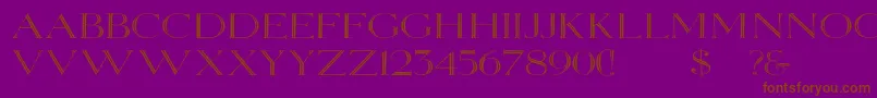 Elizabethwd Font – Brown Fonts on Purple Background