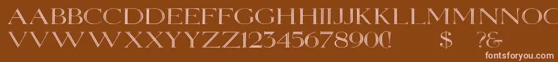 Elizabethwd Font – Pink Fonts on Brown Background