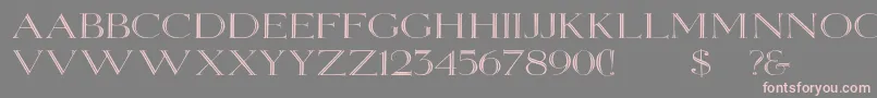 Elizabethwd Font – Pink Fonts on Gray Background