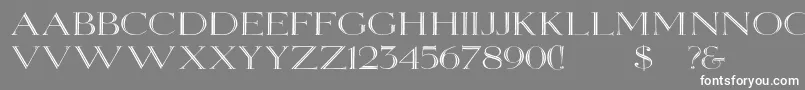 Elizabethwd Font – White Fonts on Gray Background