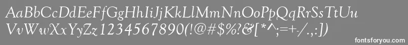 フォントGoudyOldStyleItalic – 灰色の背景に白い文字