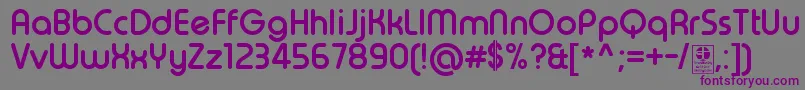 TypoRoundBoldDemo Font – Purple Fonts on Gray Background