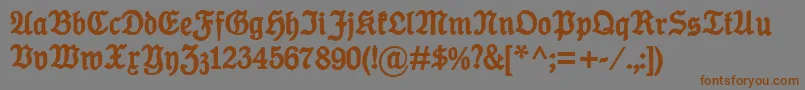 KoenigTypeBold Font – Brown Fonts on Gray Background