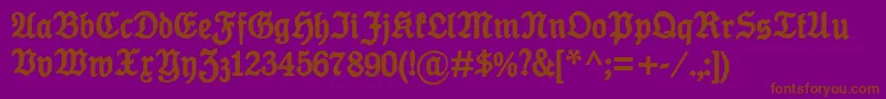 KoenigTypeBold Font – Brown Fonts on Purple Background