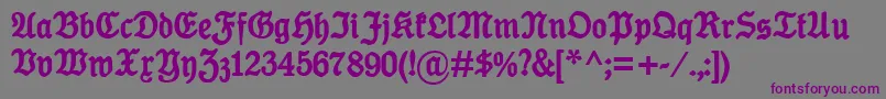 KoenigTypeBold-Schriftart – Violette Schriften auf grauem Hintergrund