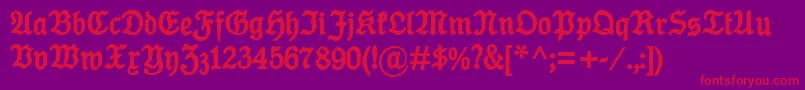 Шрифт KoenigTypeBold – красные шрифты на фиолетовом фоне