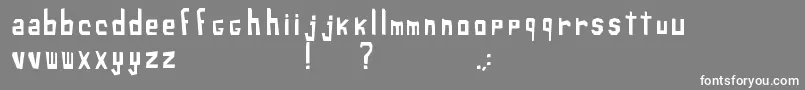 XiloSans Font – White Fonts on Gray Background