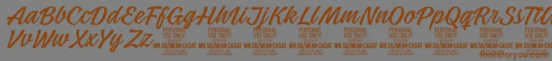 MeancasatlightPersonalUse Font – Brown Fonts on Gray Background