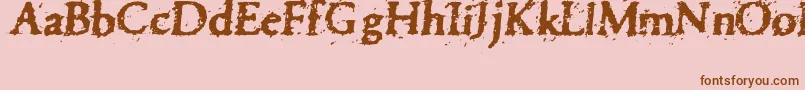 フォントPettra – ピンクの背景に茶色のフォント