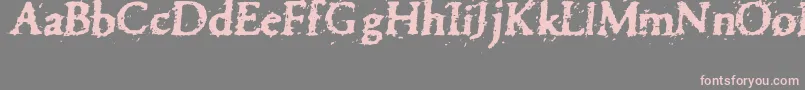 フォントPettra – 灰色の背景にピンクのフォント