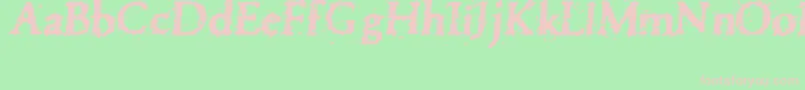 Pettra Font – Pink Fonts on Green Background
