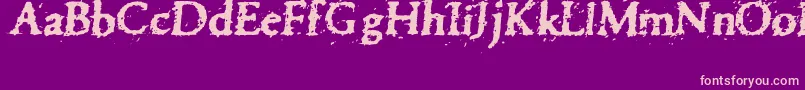 Pettra Font – Pink Fonts on Purple Background