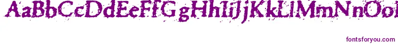 Pettra-Schriftart – Violette Schriften auf weißem Hintergrund