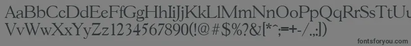 GascogneserialLightRegular Font – Black Fonts on Gray Background