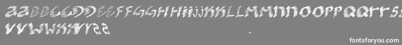 KoolerO Font – White Fonts on Gray Background