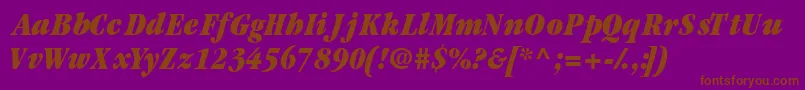Garamondblackcondssk ffy-Schriftart – Braune Schriften auf violettem Hintergrund