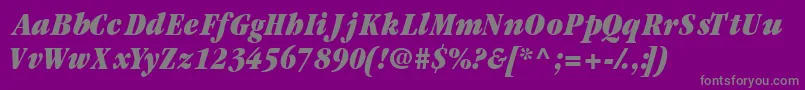 Garamondblackcondssk ffy-Schriftart – Graue Schriften auf violettem Hintergrund