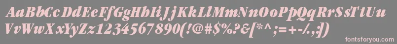 Garamondblackcondssk ffy Font – Pink Fonts on Gray Background