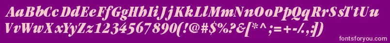 Garamondblackcondssk ffy Font – Pink Fonts on Purple Background