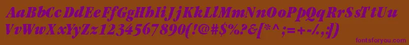 Garamondblackcondssk ffy Font – Purple Fonts on Brown Background