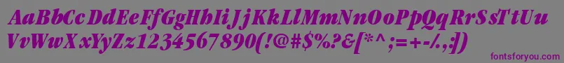 Шрифт Garamondblackcondssk ffy – фиолетовые шрифты на сером фоне
